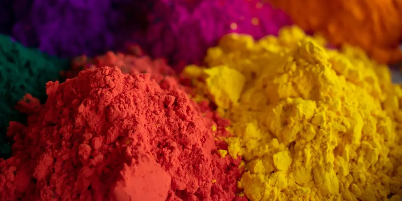 Visit India During Holi